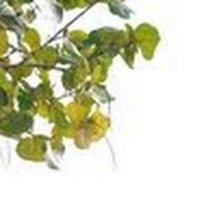 Meet your Posher, Lydia